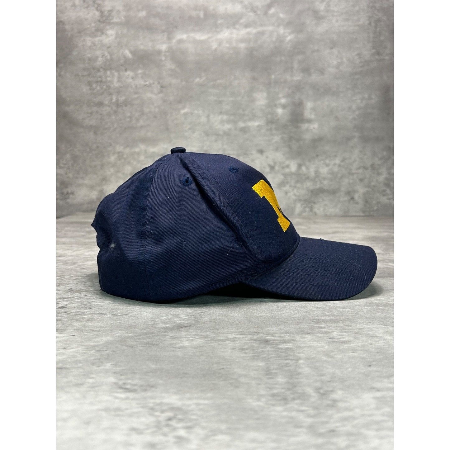 Vintage 90s Michigan Wolverines NCAA Embroidered Collegiate Snapback Hat OSFA