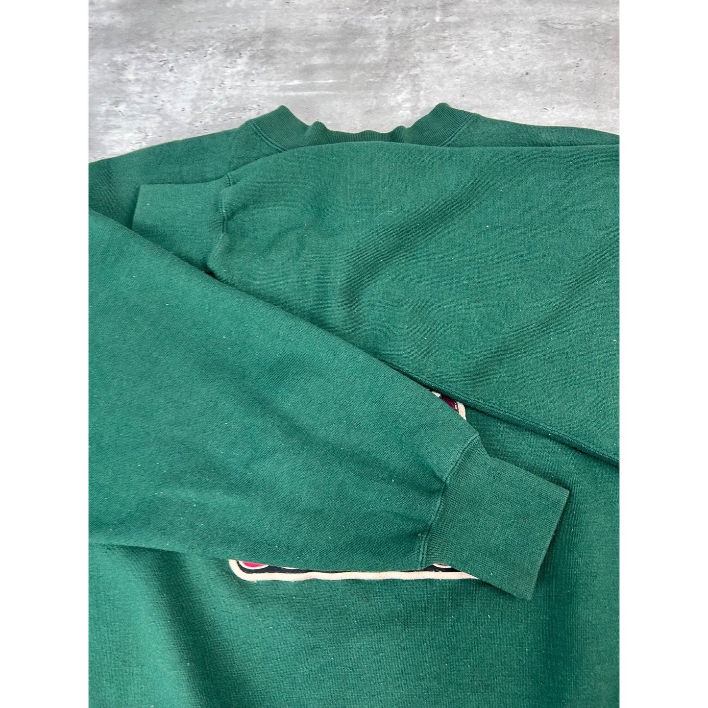 Vintage 90s Phoenix Coyotes NHL Embroidered Spellout Hockey Sweatshirt Sz Large