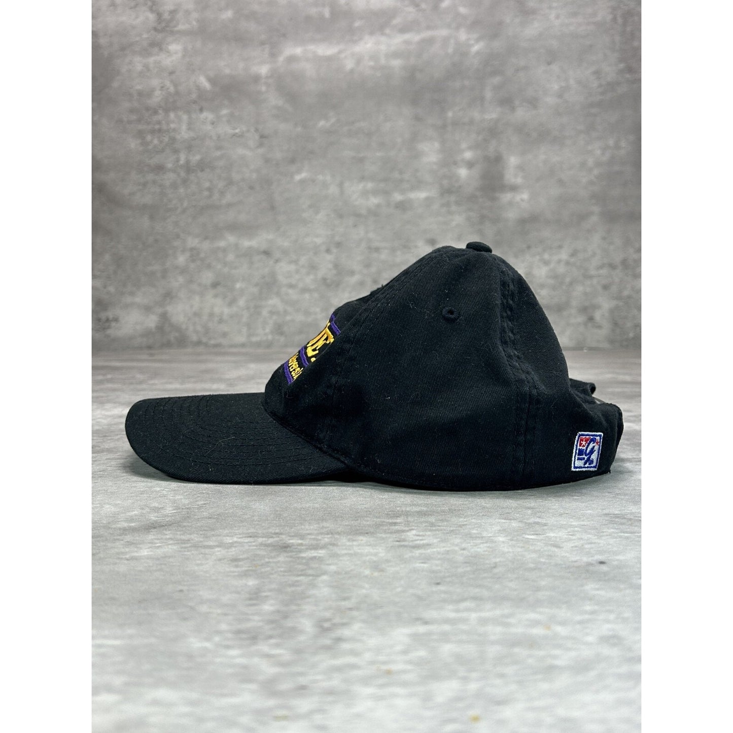 Vintage Minnesota State Hockey NCAA Embroidered Spellout Snapback Hat OSFA