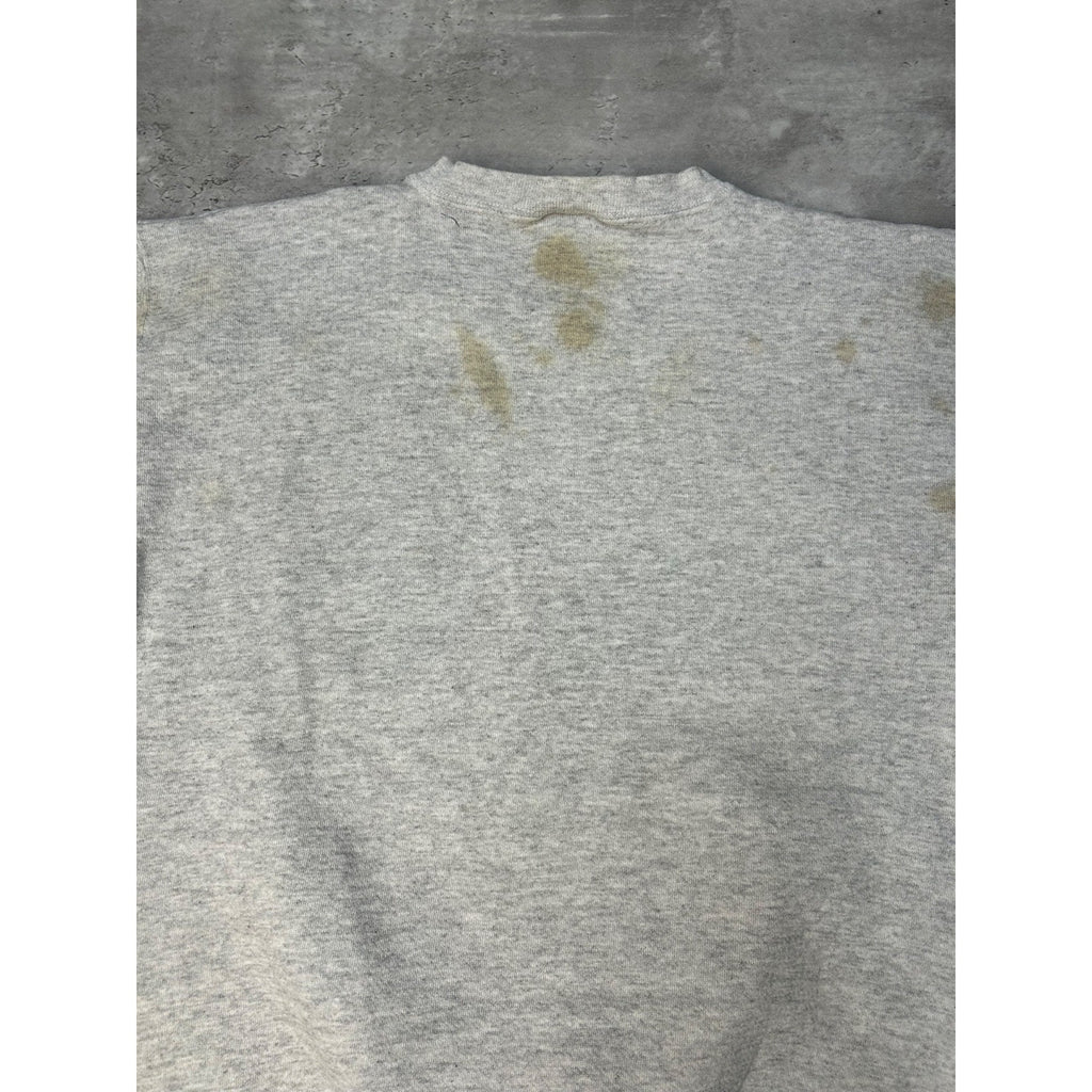 Vintage 1995 Buffalo Bills NFL AFC Eastern Champs Graphic Sweatshirt Size Medium