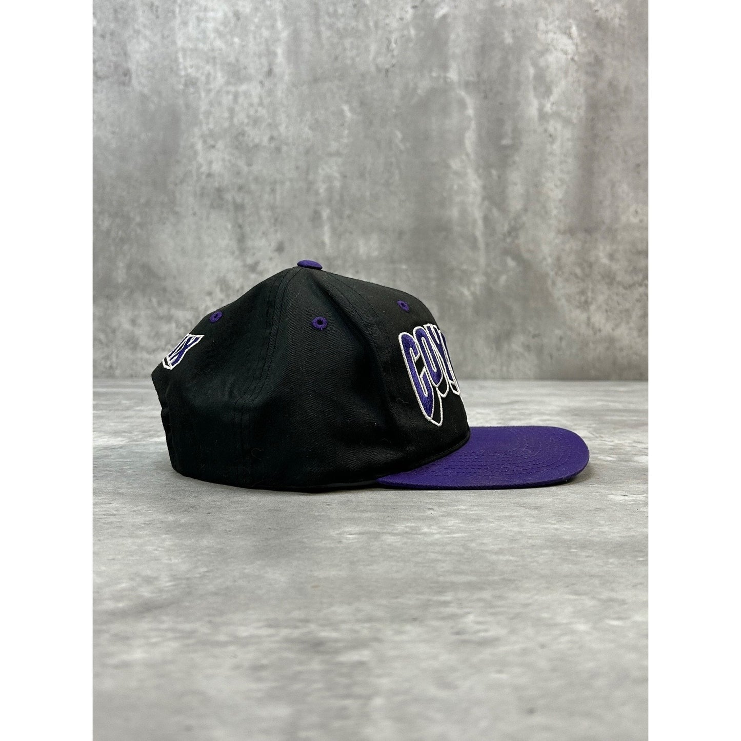 Vintage 90s Phoenix Coyotes NHL Embroidered Wave Spellout Snapback Hat OSFA