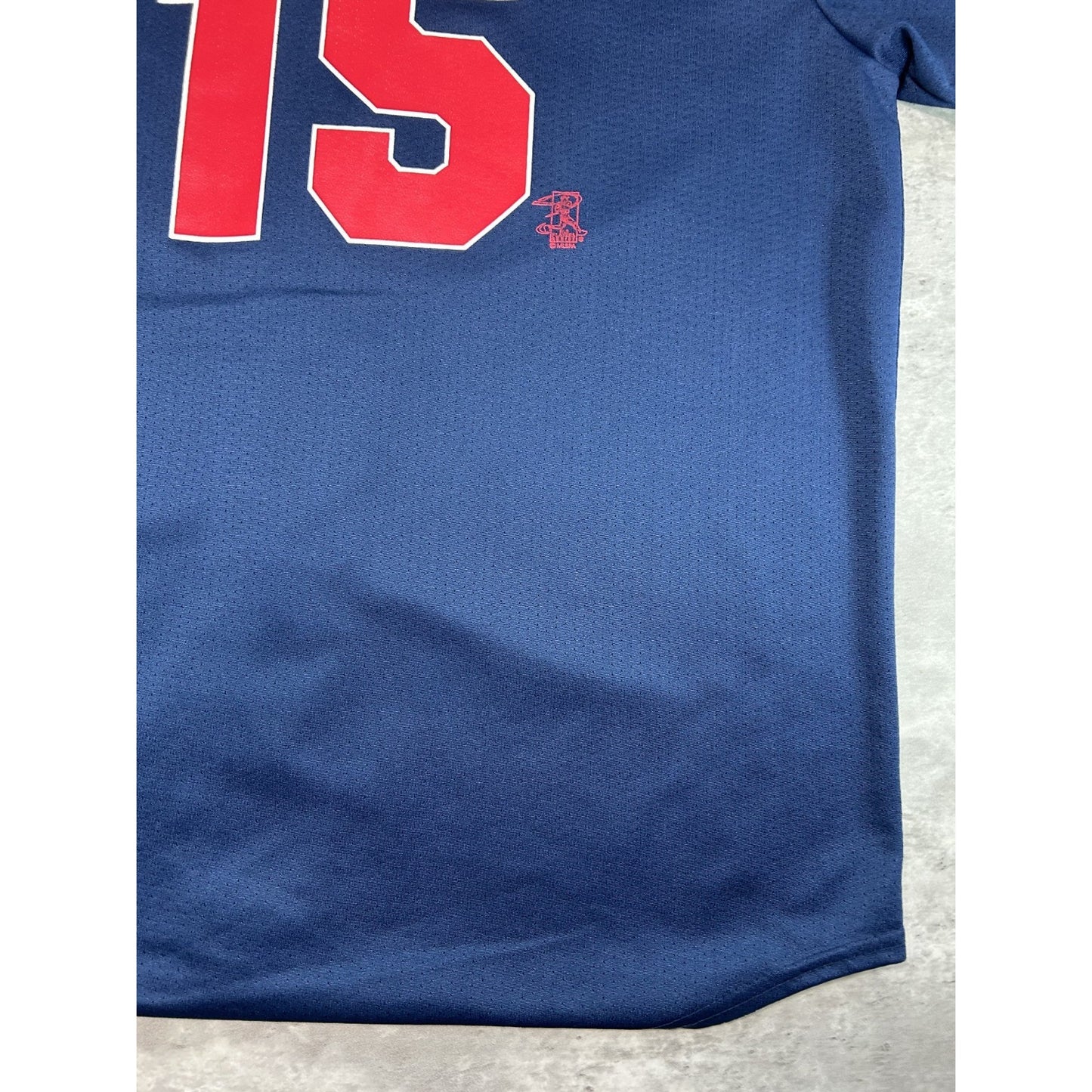 Vintage 90s Cristian Guzmán #15 Minnesota Twins MLB Jersey Size XL