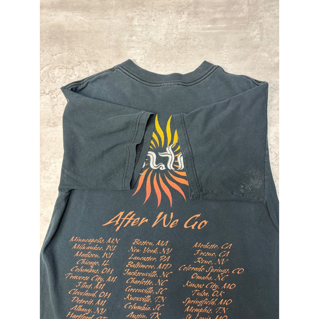Vintage Tantric After We Go Rock Music Tour T-Shirt Size Medium