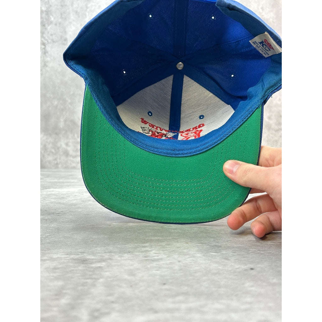 Vintage Greeneview Rams Embroidered Collegiate Logo Snapback Hat OSFA