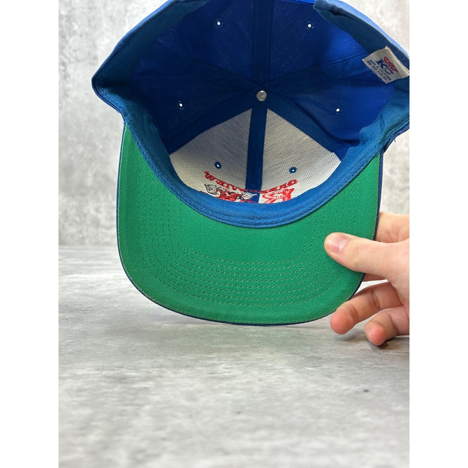 Vintage Greeneview Rams Embroidered Collegiate Logo Snapback Hat OSFA