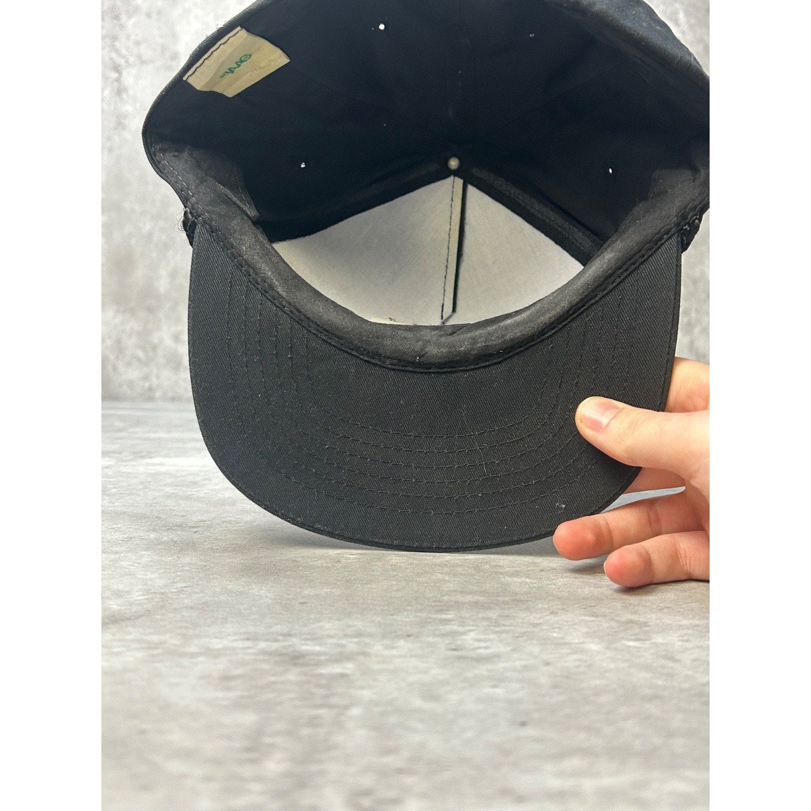 Vintage 90s Alaska Moose Embroidered Graphic Destination Snapback Hat OSFA