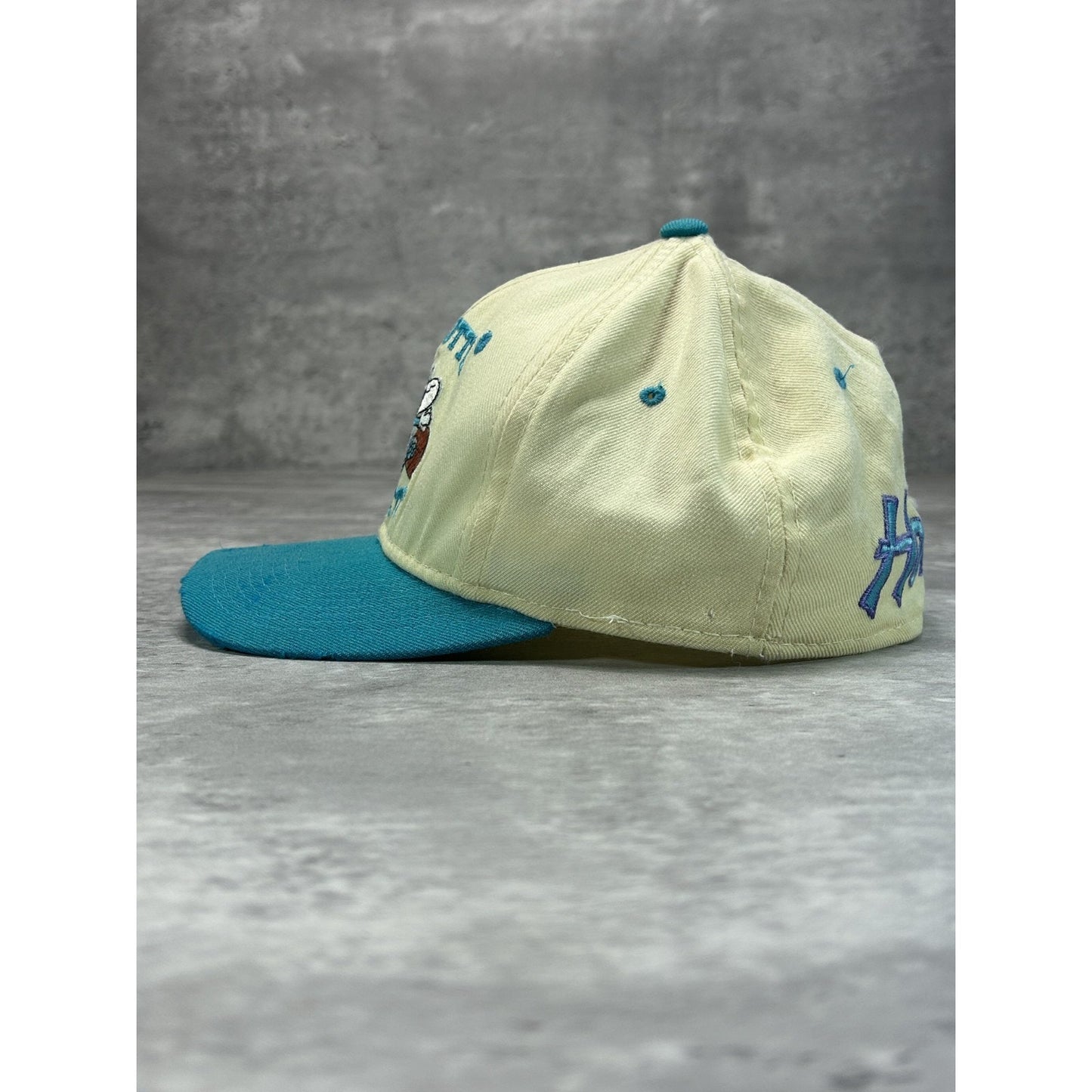 Vintage 90s Charlotte Hornets NBA Sports Specialties Back Script Fitted Hat Sz 7