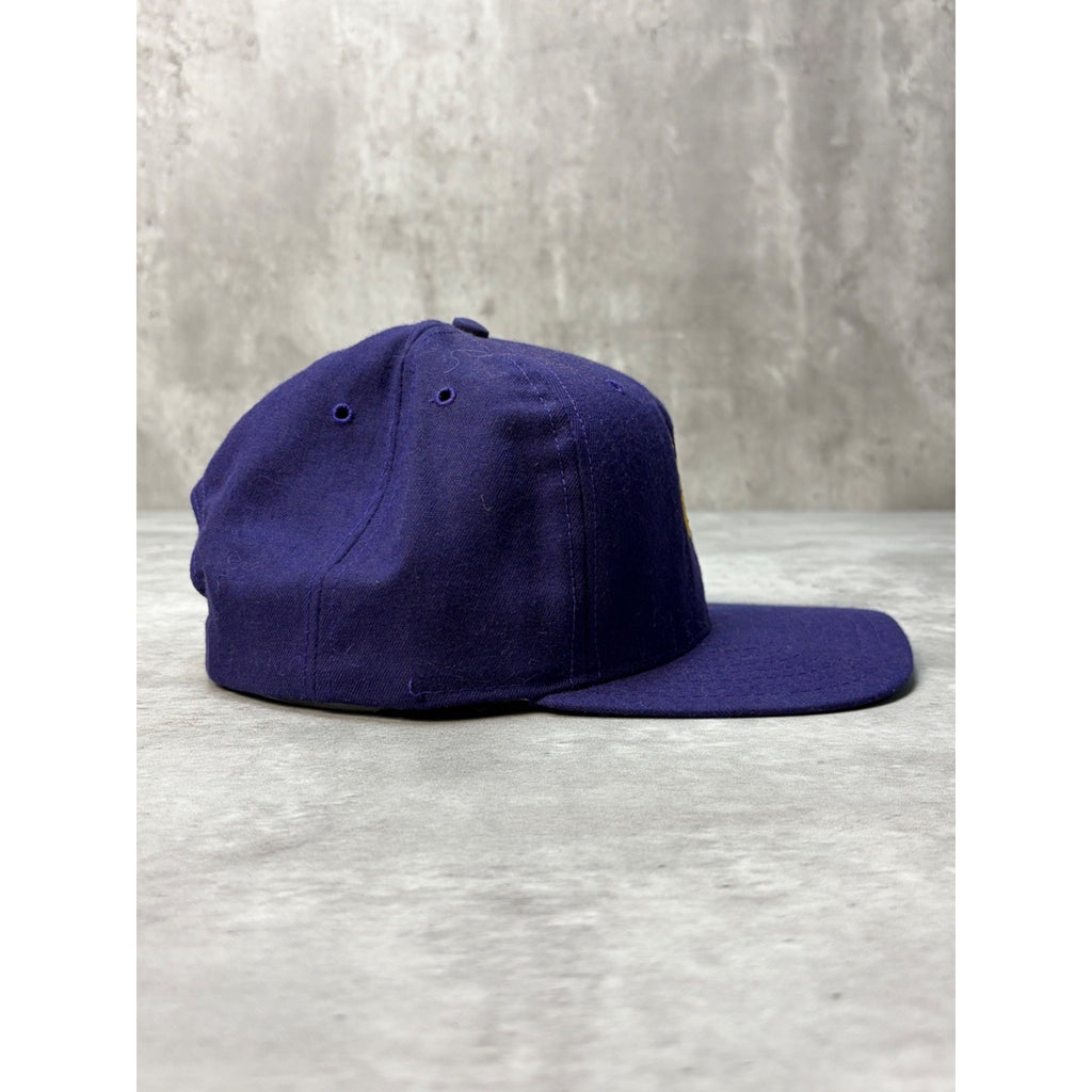 Vintage Minnesota Vikings NFL Embroidered Logo Snapback Hat OSFA