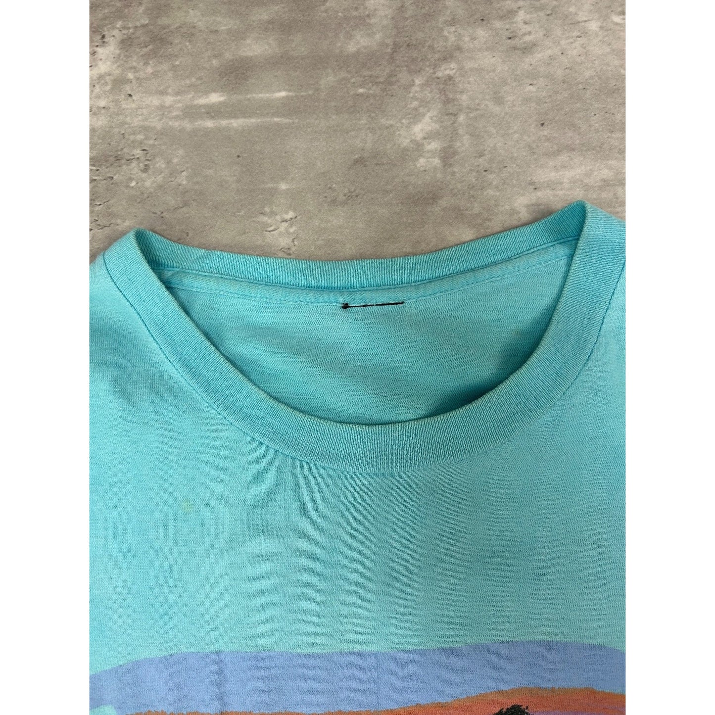 Vintage 90s Patagonia Painted Logo Graphic Spellout T-Shirt Size Large Blue