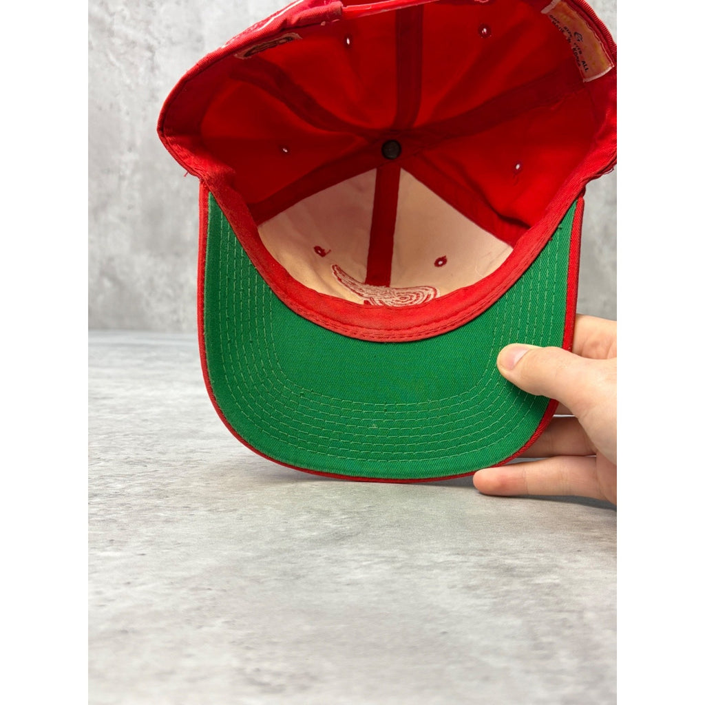 Vintage 90s Detroit Red Wings NHL Embroidered Logo Snapback Hat OSFA