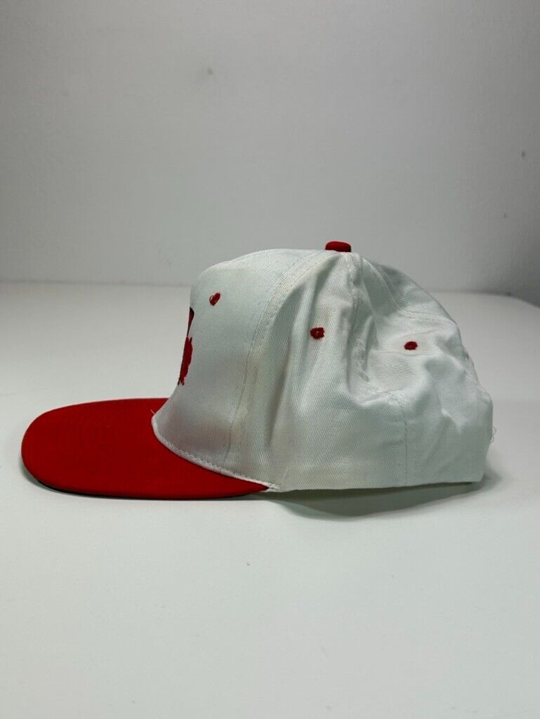 Vintage 90s Wisconsin Badgers NCAA Football Rose Bowl Logo Snapback Hat OSFA