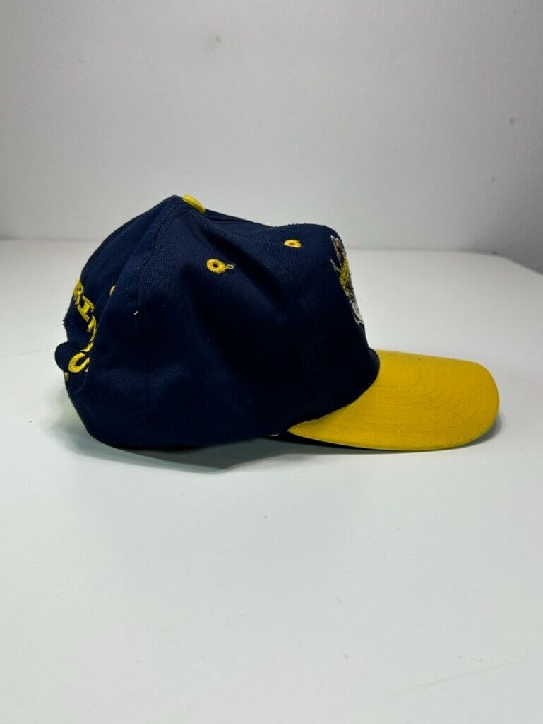 VTG 90s Michigan Wolverines NCAA Looney Tunes Taz Embroidered Snapback Hat OSFA