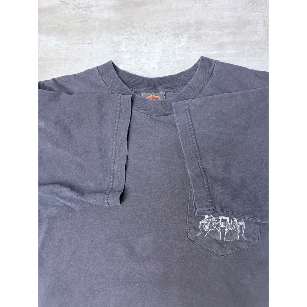 Vintage 2005 Harley Davidson Buffalo Destination Graphic T-Shirt Size Large