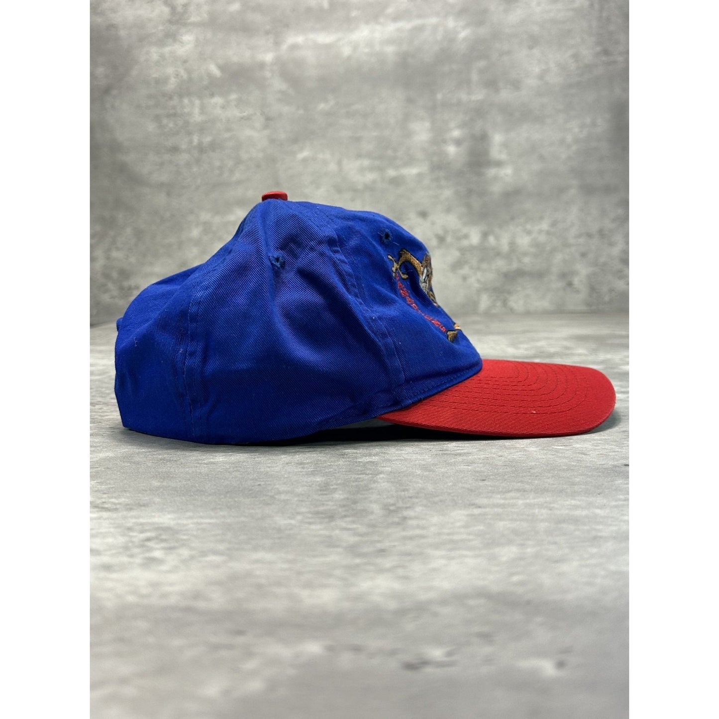 Vintage 1996 Montreal Canadiens NHL Looney Tunes Taz Snapback Hat OSFA