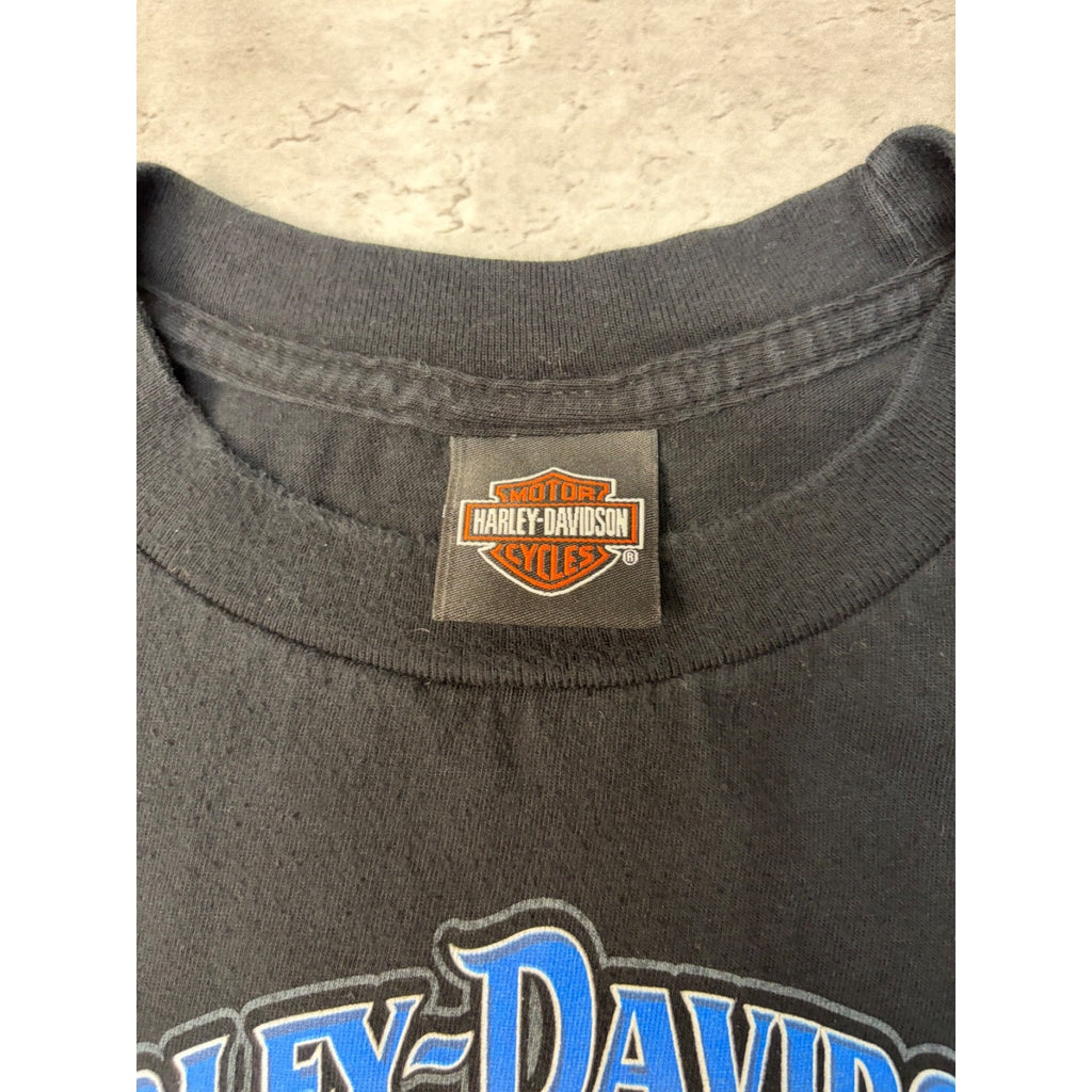 Vintage Harley Davidson Flaming Classic Logo Hog Graphic T-Shirt Size XL