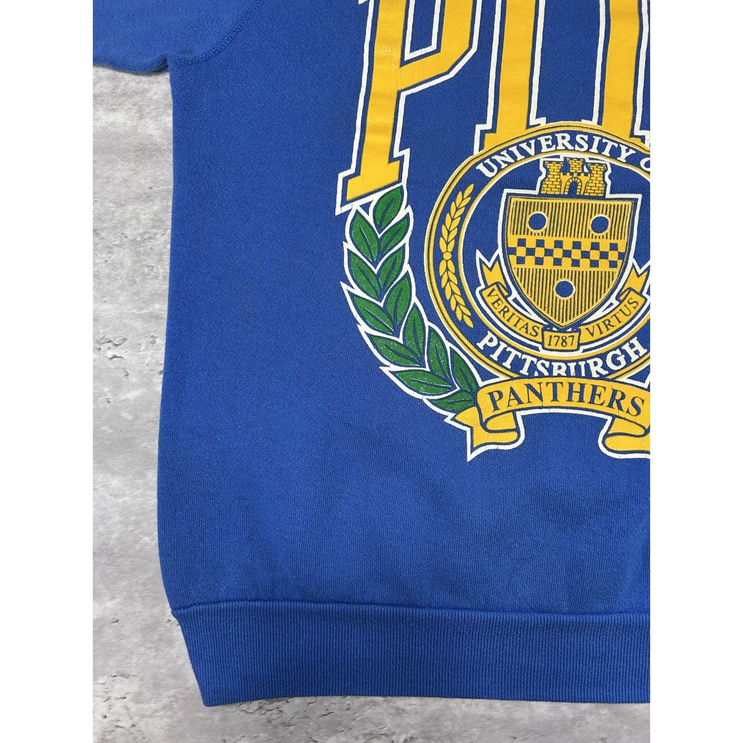 Vintage 90s Pitt Panthers NCAA Collegiate Crest Graphic Sweatshirt Size Large