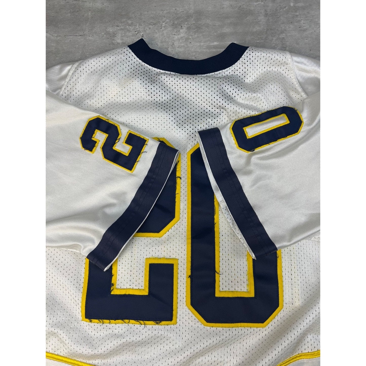 Vintage Michigan Wolverines #20 NCAA Nike Football Jersey Size XL