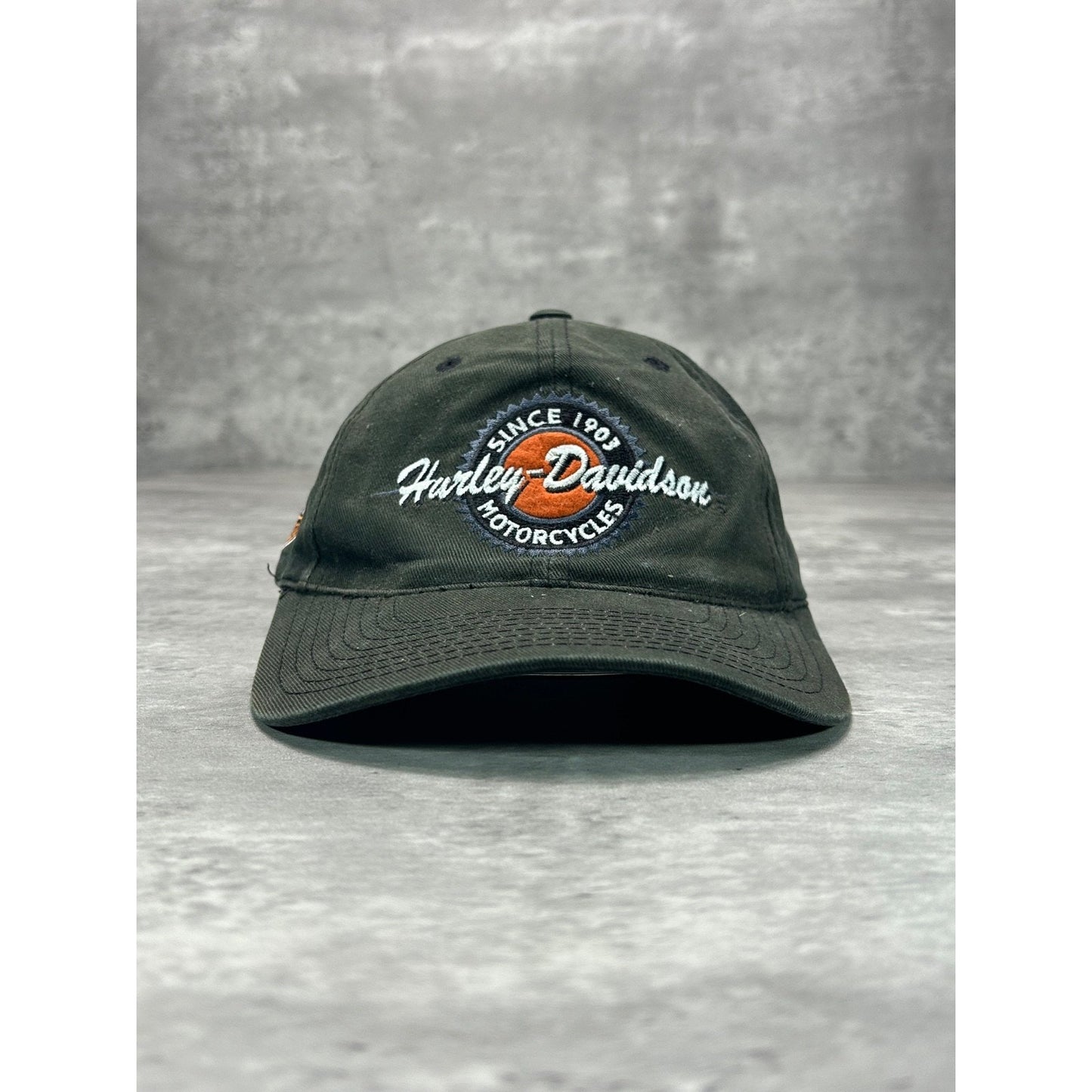Vintage Harley Davidson Motorcycles Embroidered Spellout Snapback Hat OSFA