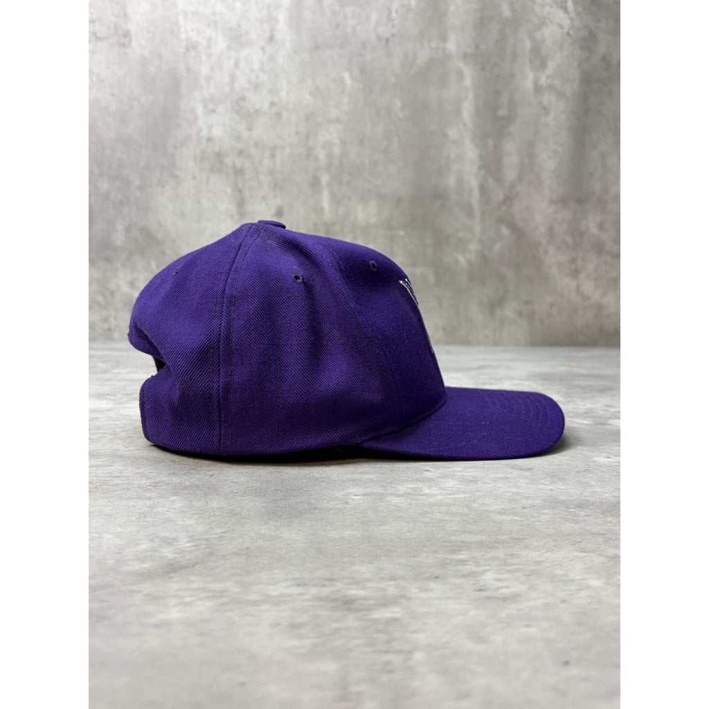Vintage Minnesota Vikings NFL Embroidered Logo Snapback Hat OSFA