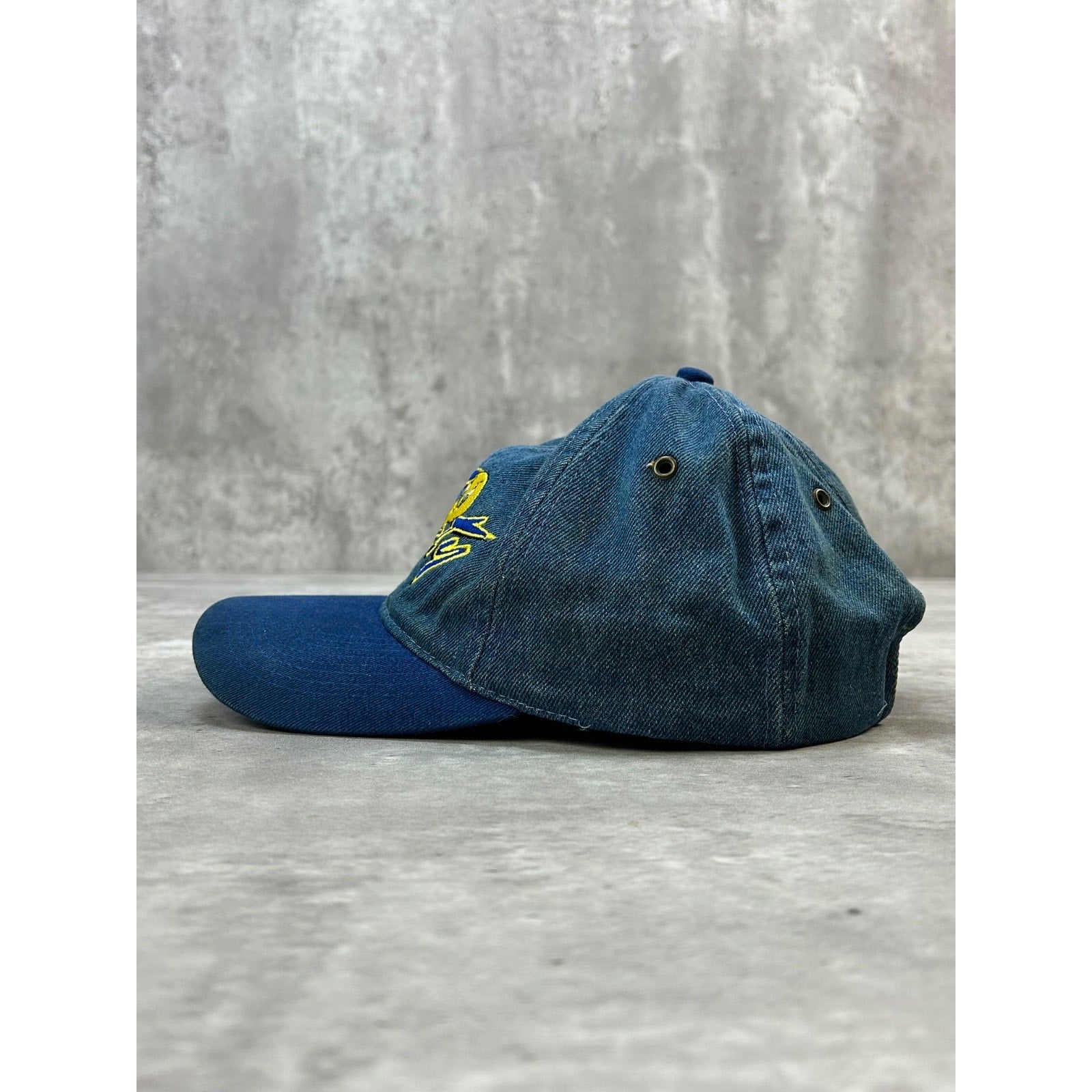 Vintage 2000 Looney Tunes Tweety Bird Embroidered Denim Strapback Hat OSFA