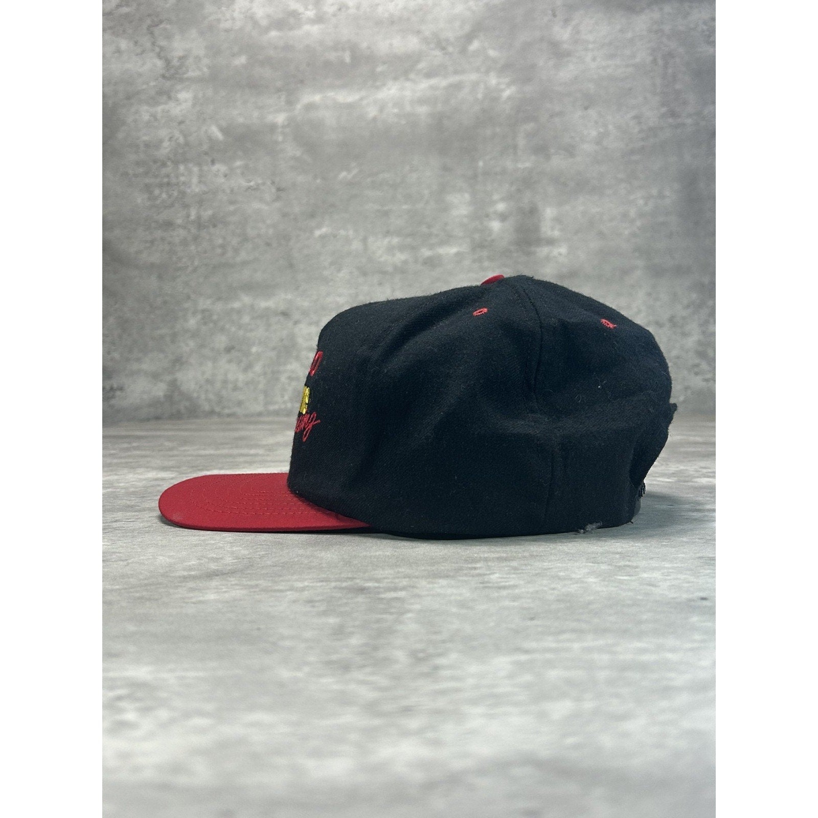 Vintage 90s Texaco Havoline Racing Embroidered Nascar Snapback Hat OSFA