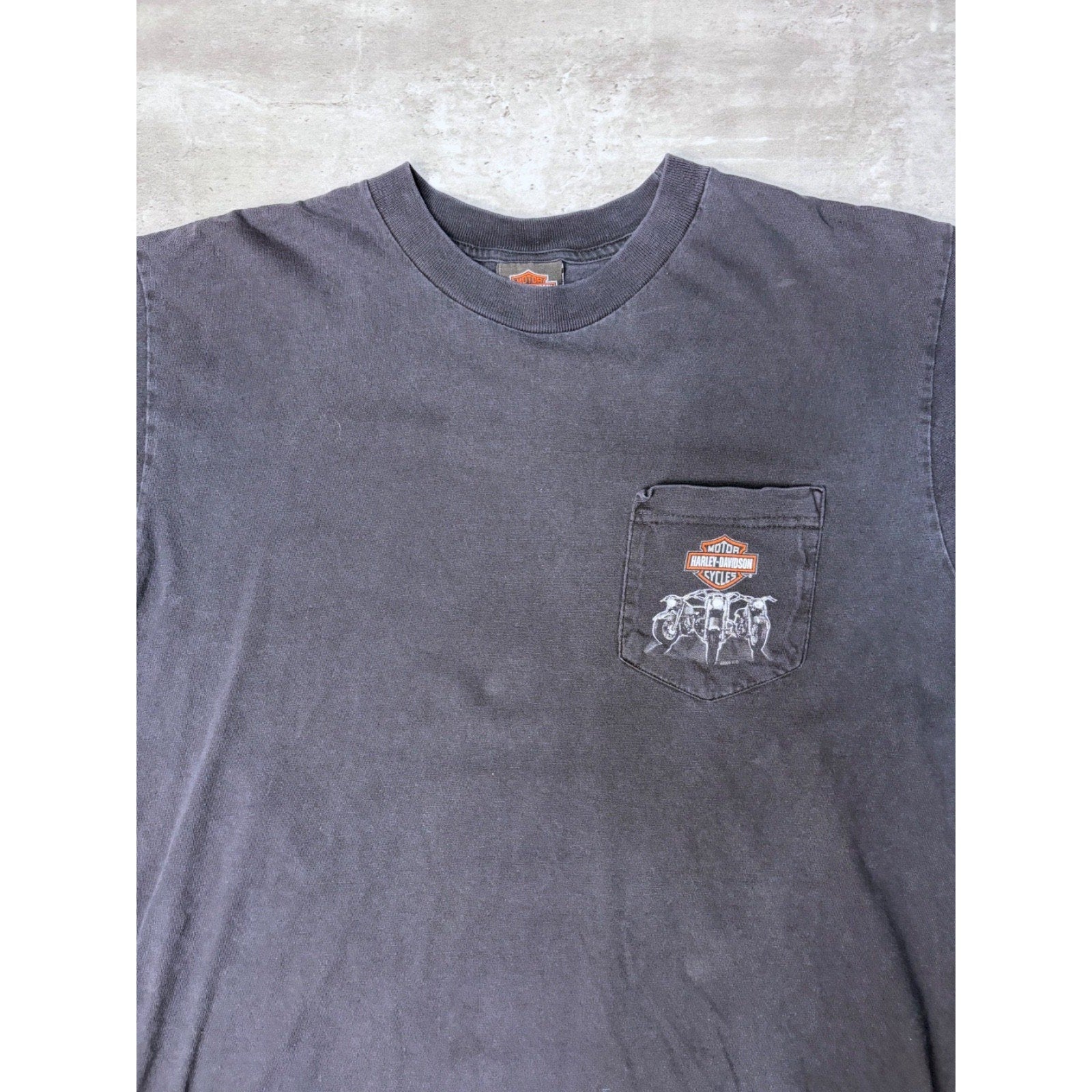 Vintage 2005 Harley Davidson Buffalo Destination Graphic T-Shirt Size Large
