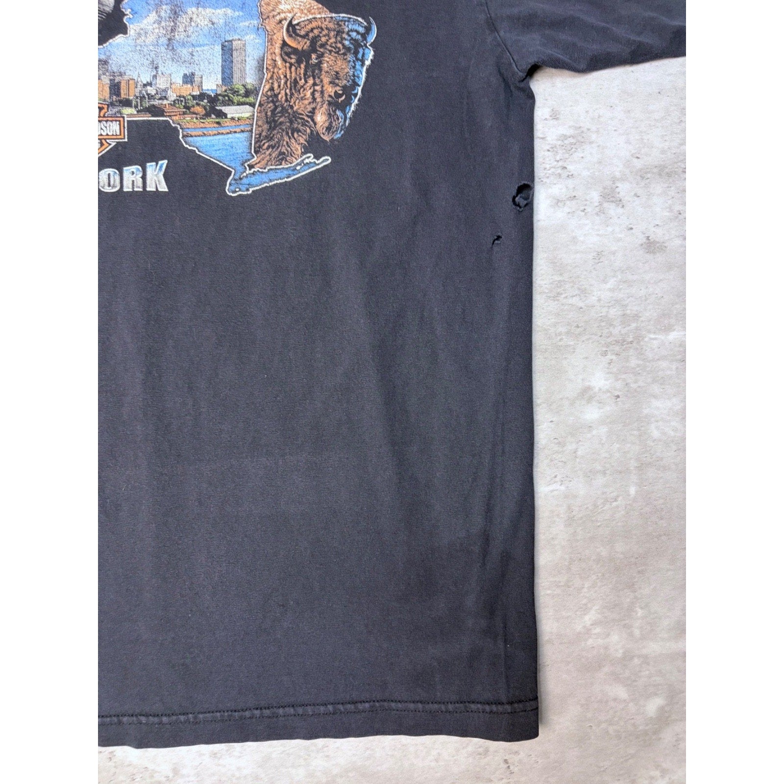 Vintage 2005 Harley Davidson Buffalo Destination Graphic T-Shirt Size Large