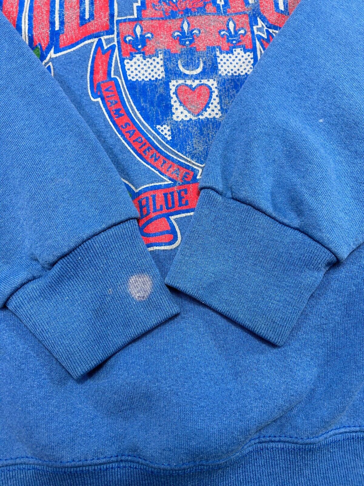 Vintage 1990 De Paul Blue Demons NCAA Crest Graphic Sweatshirt Size Medium