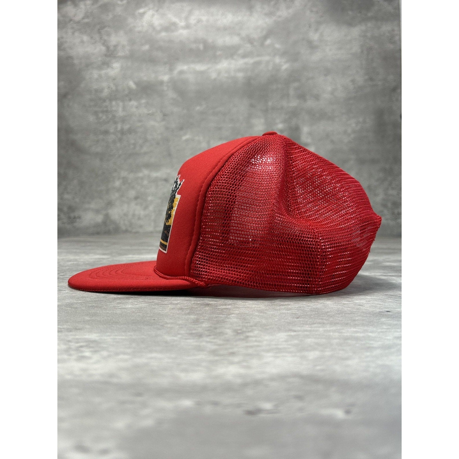 Vintage 80s/90s Reno Sunset Graphic Destination Trucker Snapback Hat OSFA