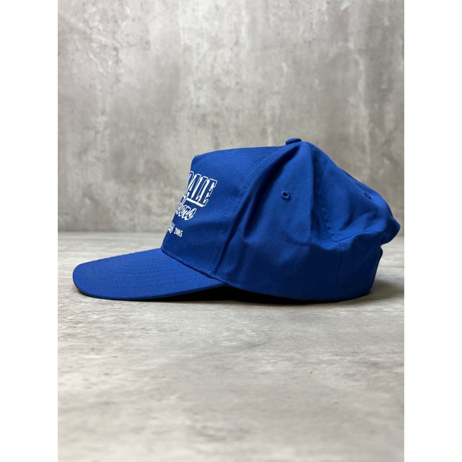 Vintage 2005 Allendale Remembers Spellout Snapback Hat OSFA