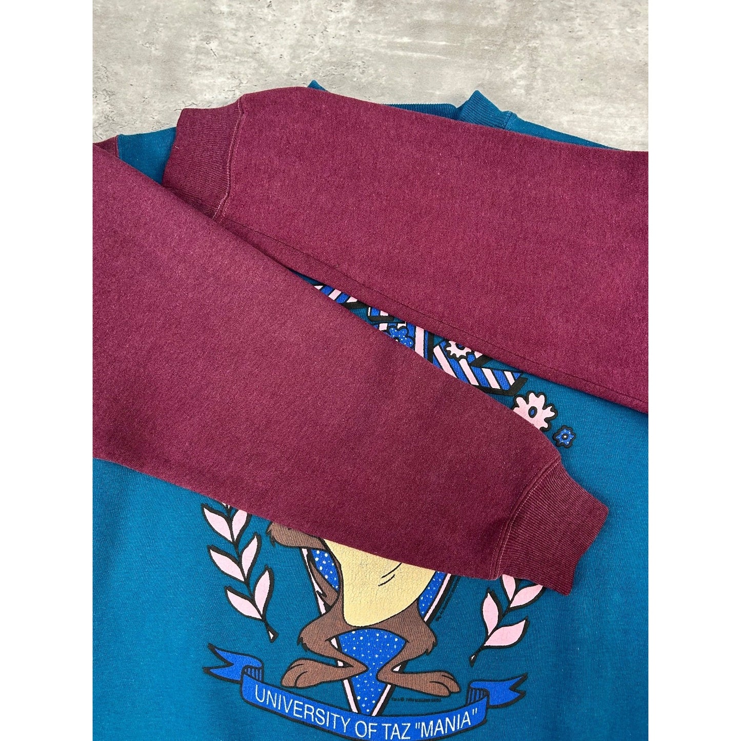 Vintage 1993 Looney Tunes University Of Tazmania Taz Graphic Sweatshirt Medium