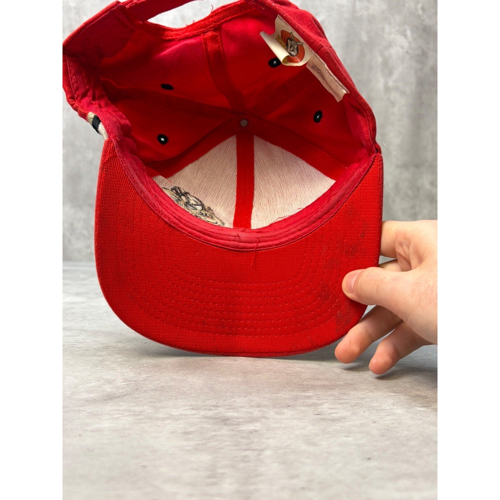 Vintage 1998 Looney Tunes Tasmanian Devil Embroidered Strapback Hat OSFA