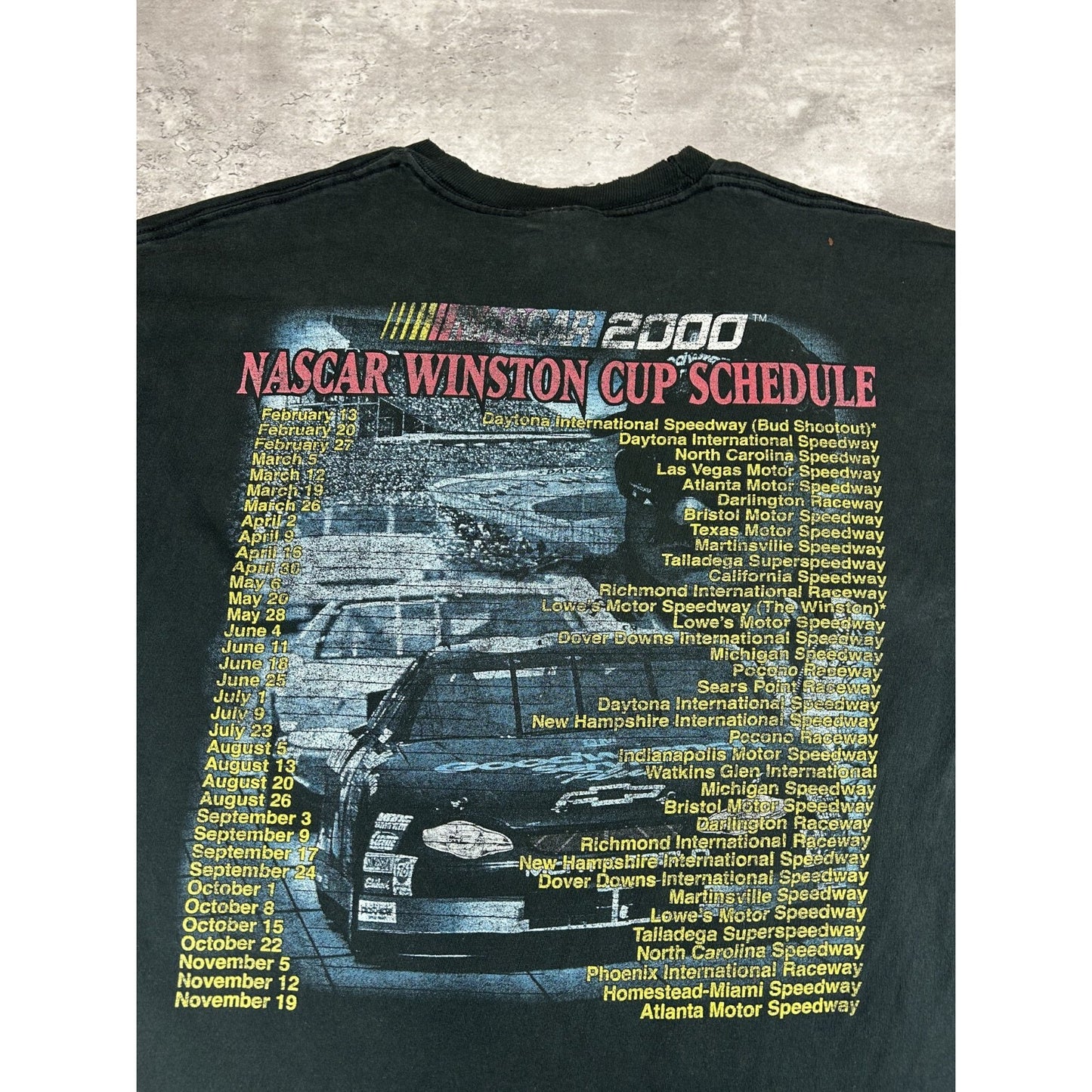 Vintage 2000 Dale Earnhardt #3 Winston Cup Nascar Racing T-Shirt Size Large