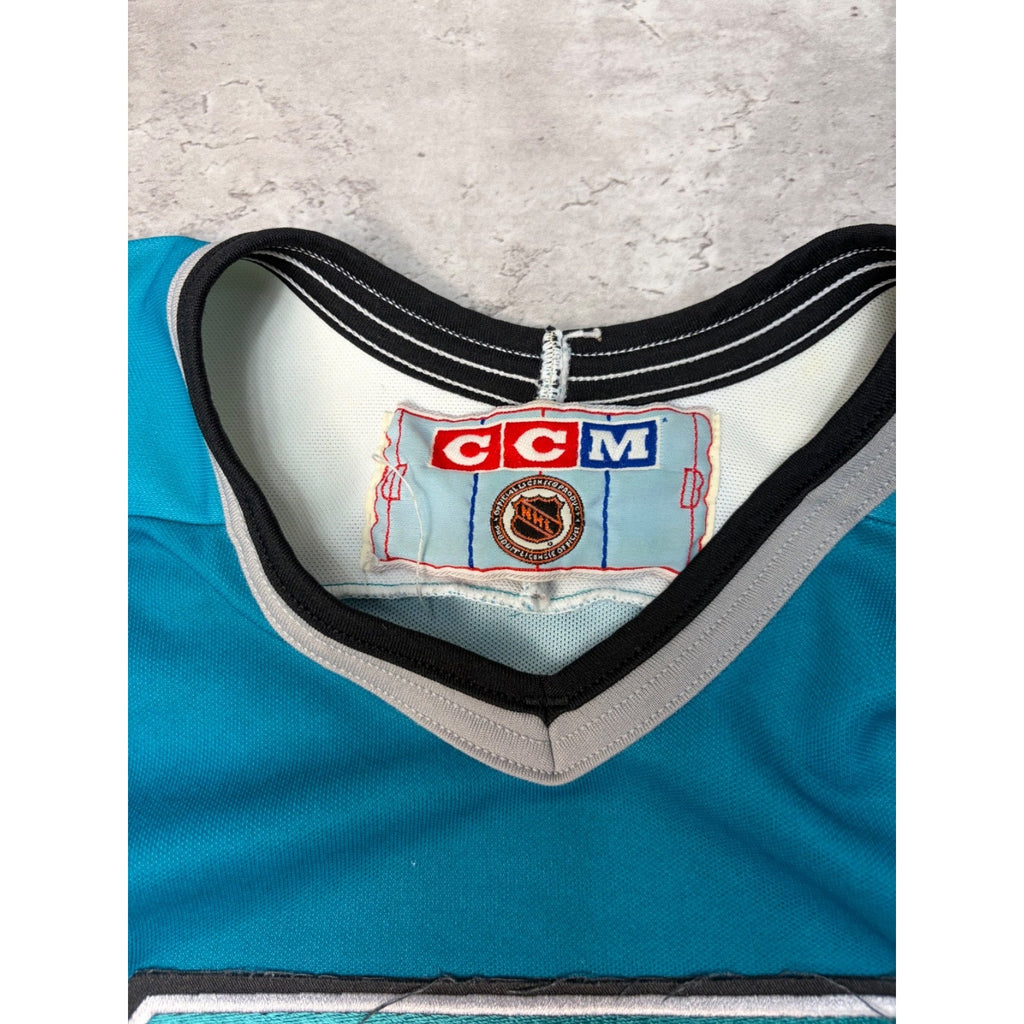 Vintage NHL Eastern Conference Embroidered Graphic CCM Hockey Jersey Size XL