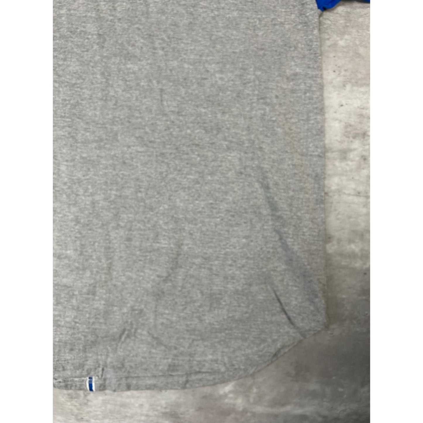 Vintage Detroit Lions NFL Embroidered Two Tone Baseball Jersey Size XL