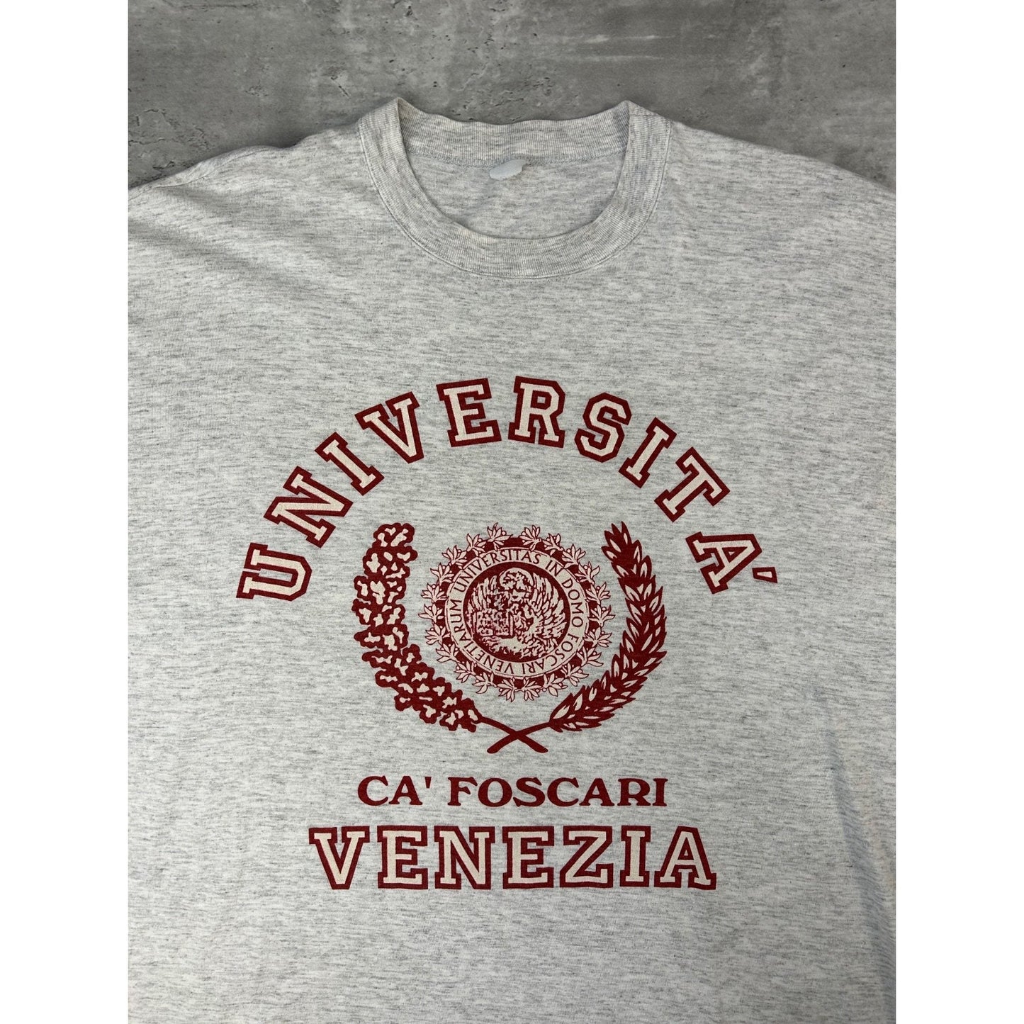 Vintage 90s Universita Venezia Collegiate Crest Graphic T-Shirt Size XL Gray