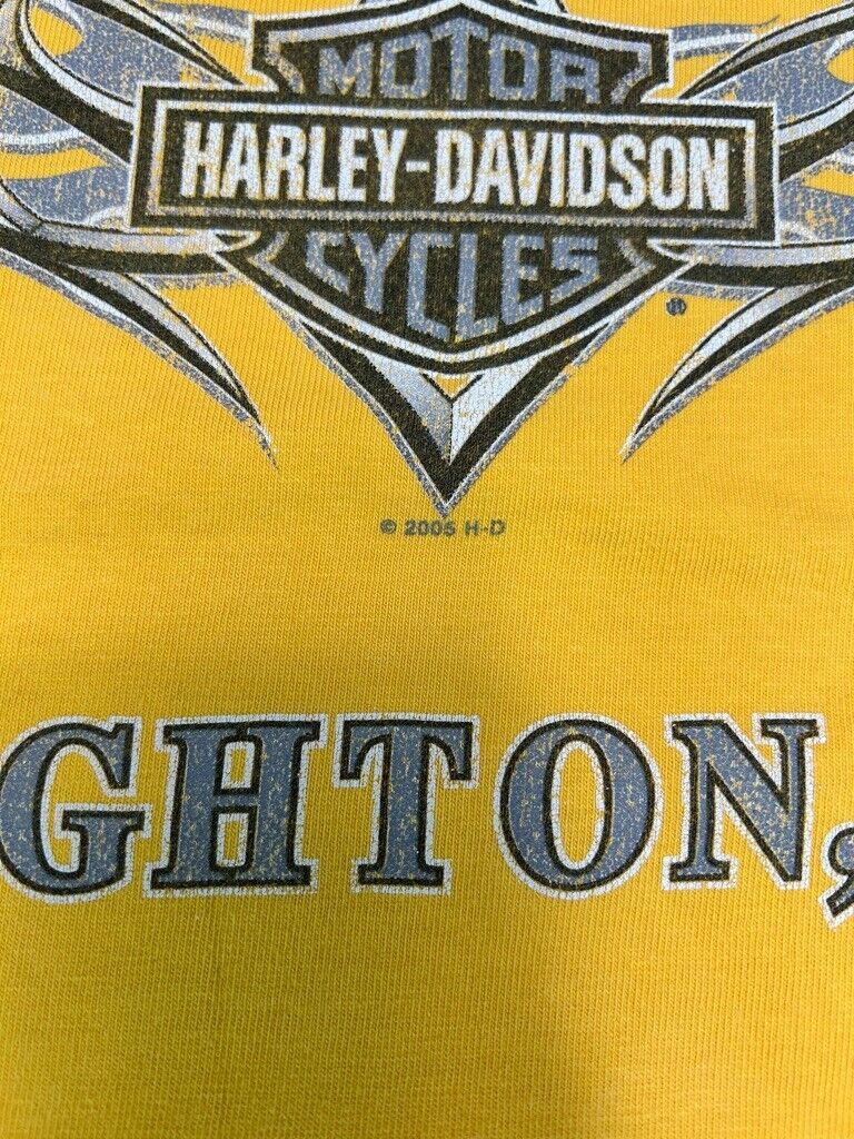 Harley Davidson Motorcycles Michigan Spell Out Graphic T-Shirt Size 2XL Yellow