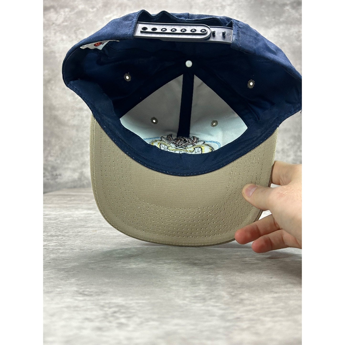 Vintage 1998 Looney Tunes Taz Embroidered Cartoon Character Snapback Hat OSFA