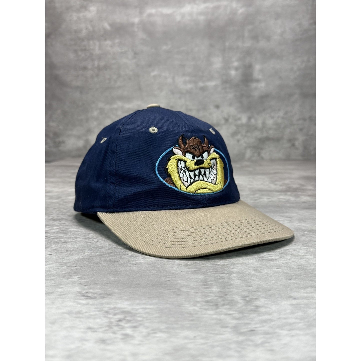 Vintage 1998 Looney Tunes Taz Embroidered Cartoon Character Snapback Hat OSFA
