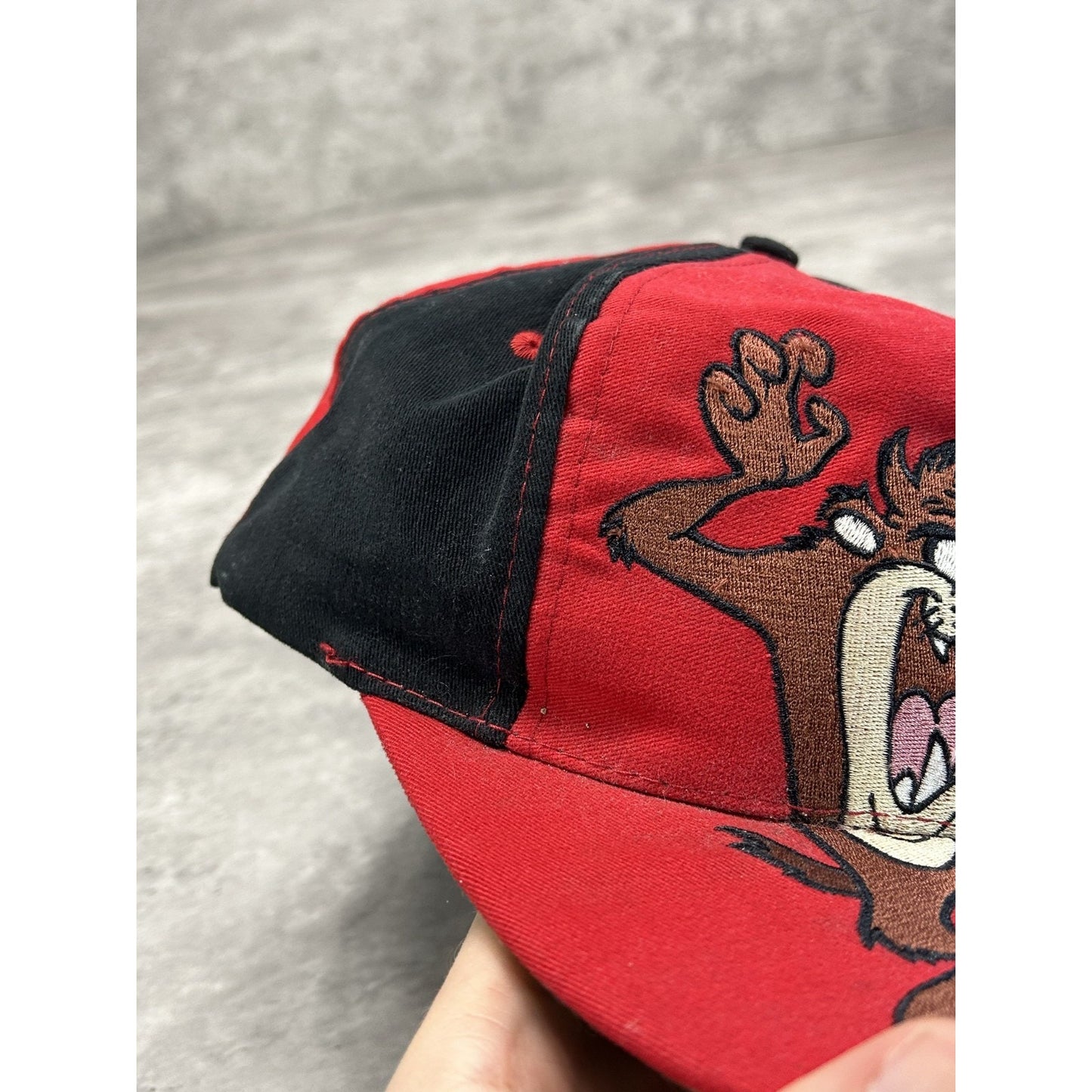 Vintage 1994 Looney Tunes Taz Embroidered Cartoon Character Snapback Hat OSFA