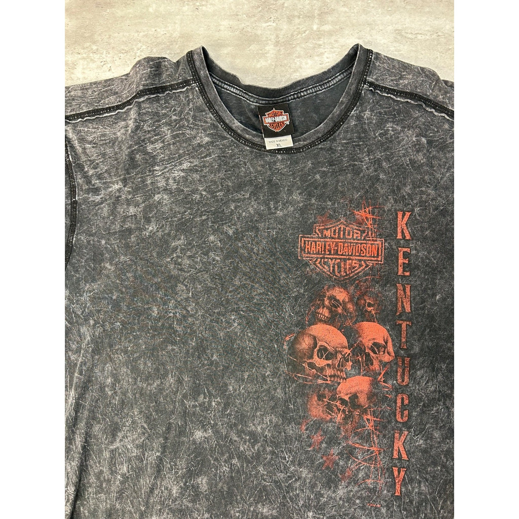Vintage Harley Davidson Skull Graphic Spellout T-Shirt Size XL