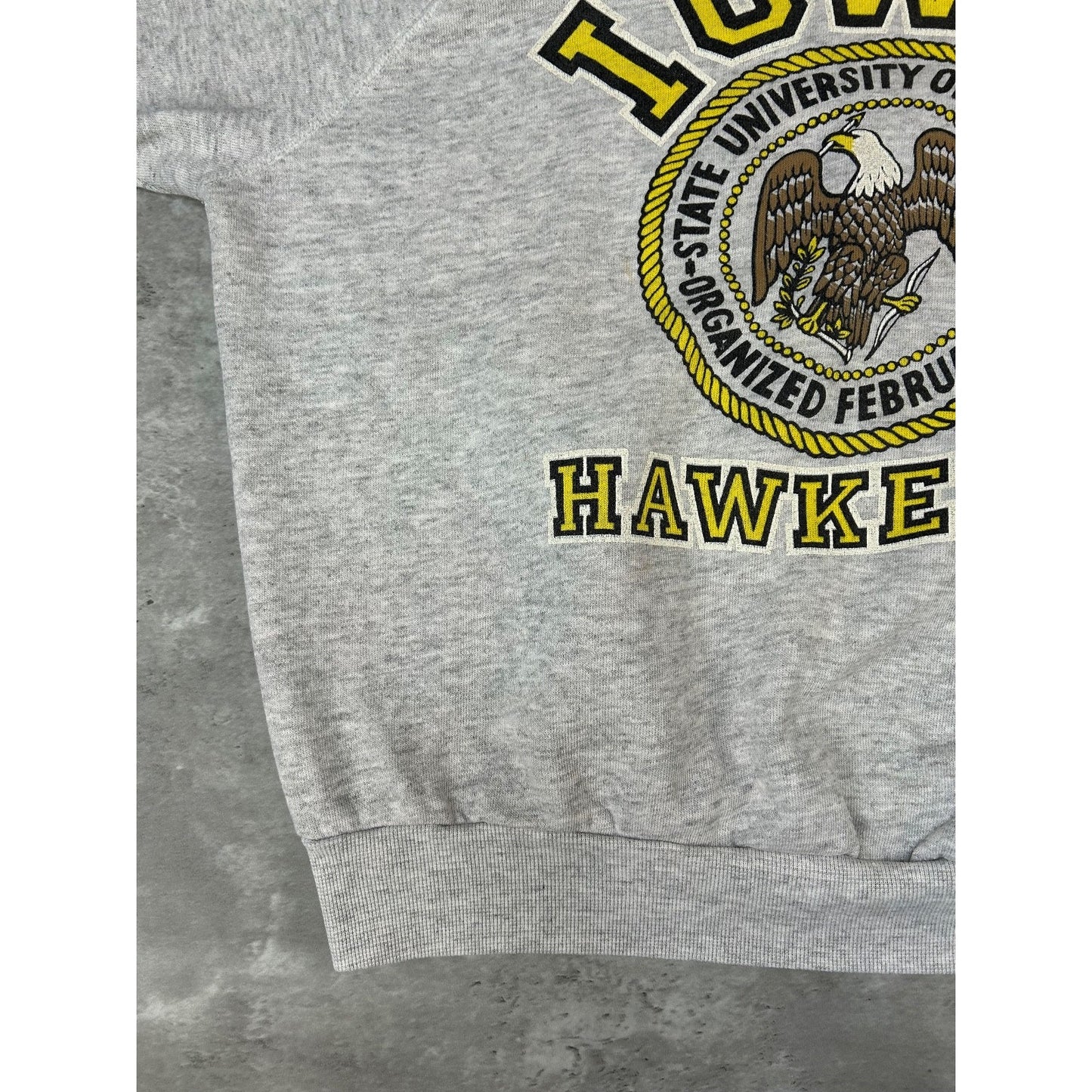 Vintage 90s Iowa Hawkeyes NCAA Collegiate Crest Graphic Sweatshirt Size Medium