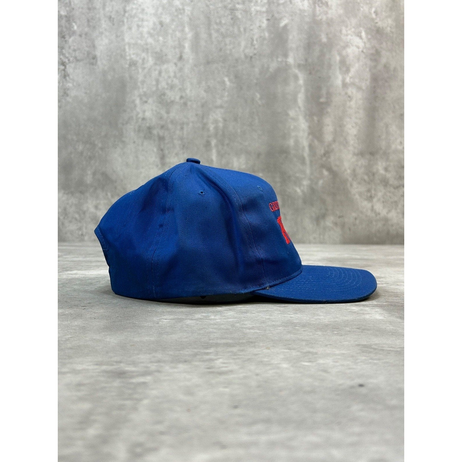 Vintage Greeneview Rams Embroidered Collegiate Logo Snapback Hat OSFA