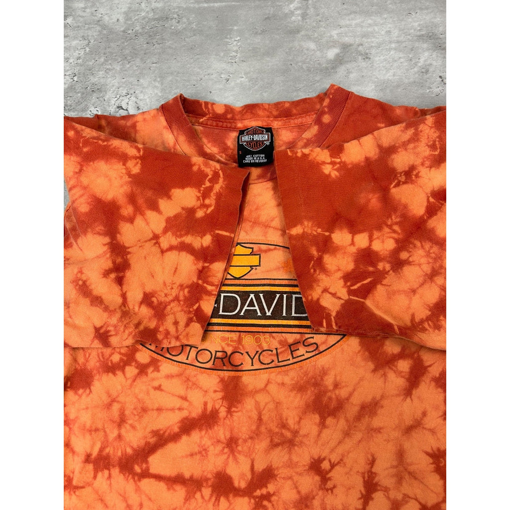Vintage Harley Davidson Spellpout Graphic Tye-Dye T-Shirt Size Small