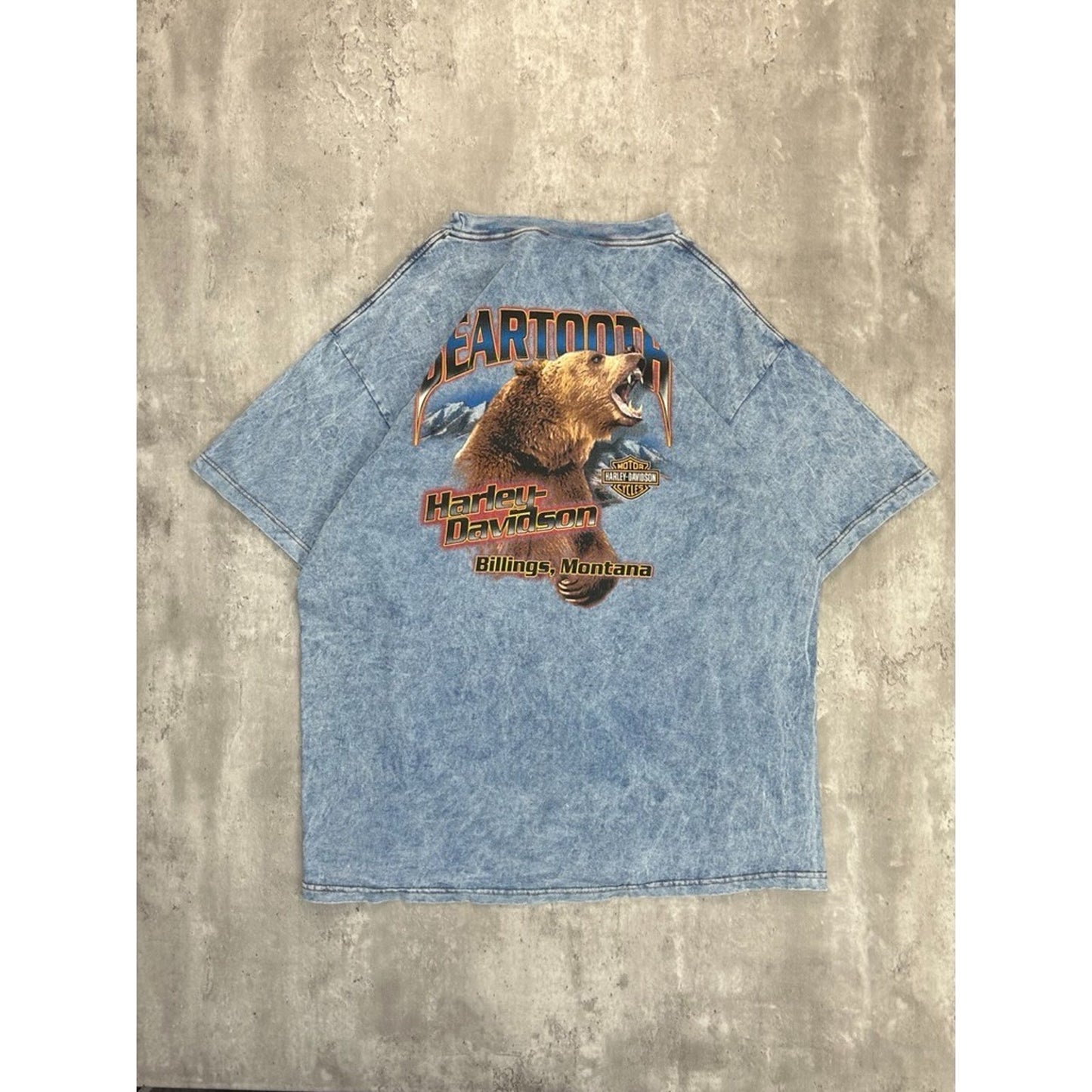 Vintage Harley Davidson Montana Bear Graphic Tye Dye T-Shirt Size XL
