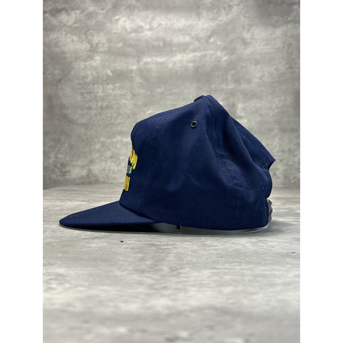 Vintage 80s/90s Vietnam Veteran Embroidered Patch Snapback Hat OSFA