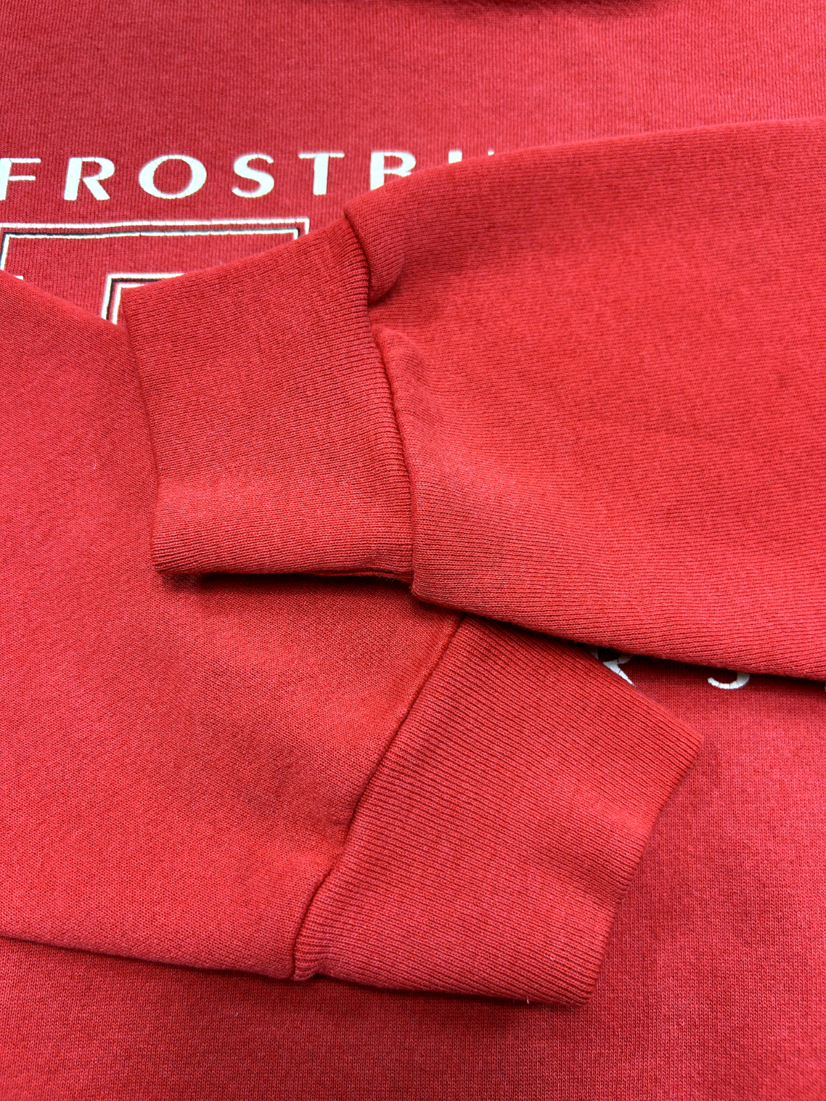 Vintage 90s Frost Bird State University NCAA Graphic Spellout Sweatshirt Sz 2XL