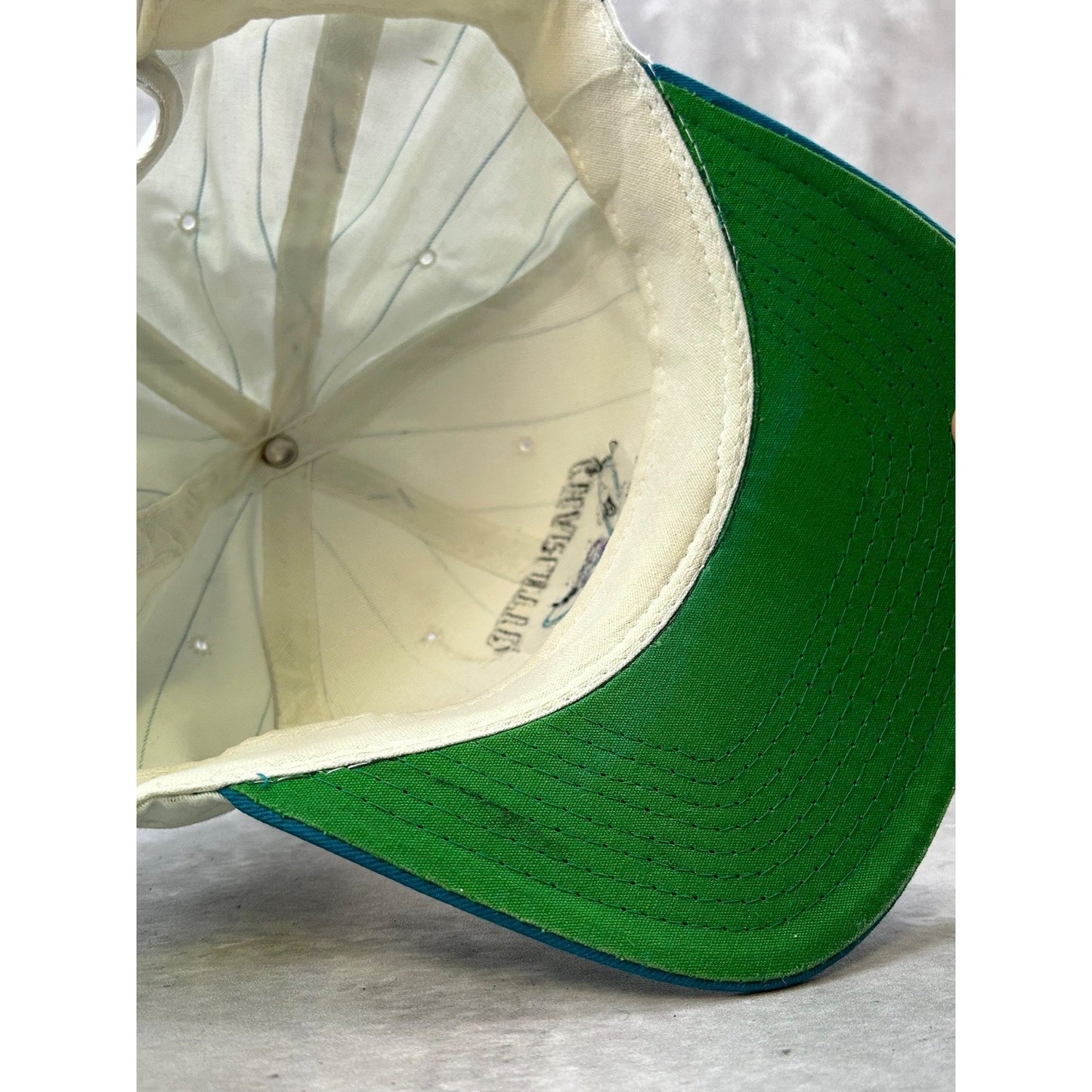 VTG 90s Charlotte Hornets NBA Pinstripe Starter Embroidered Snapback Hat OSFA