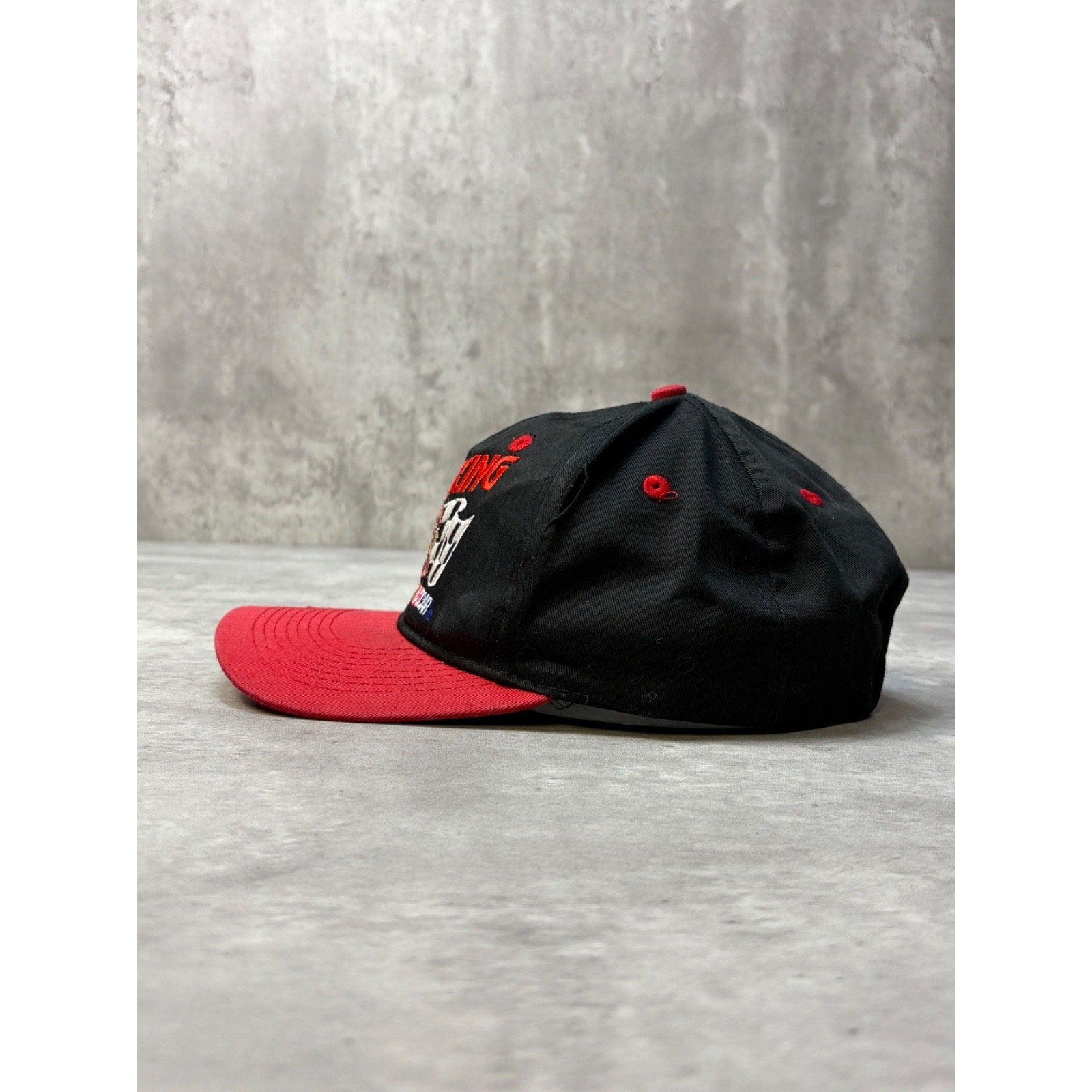 Vintage 1997 Nascar Looney Tunes Taz Racing Embroidered Snapback Hat OSFA