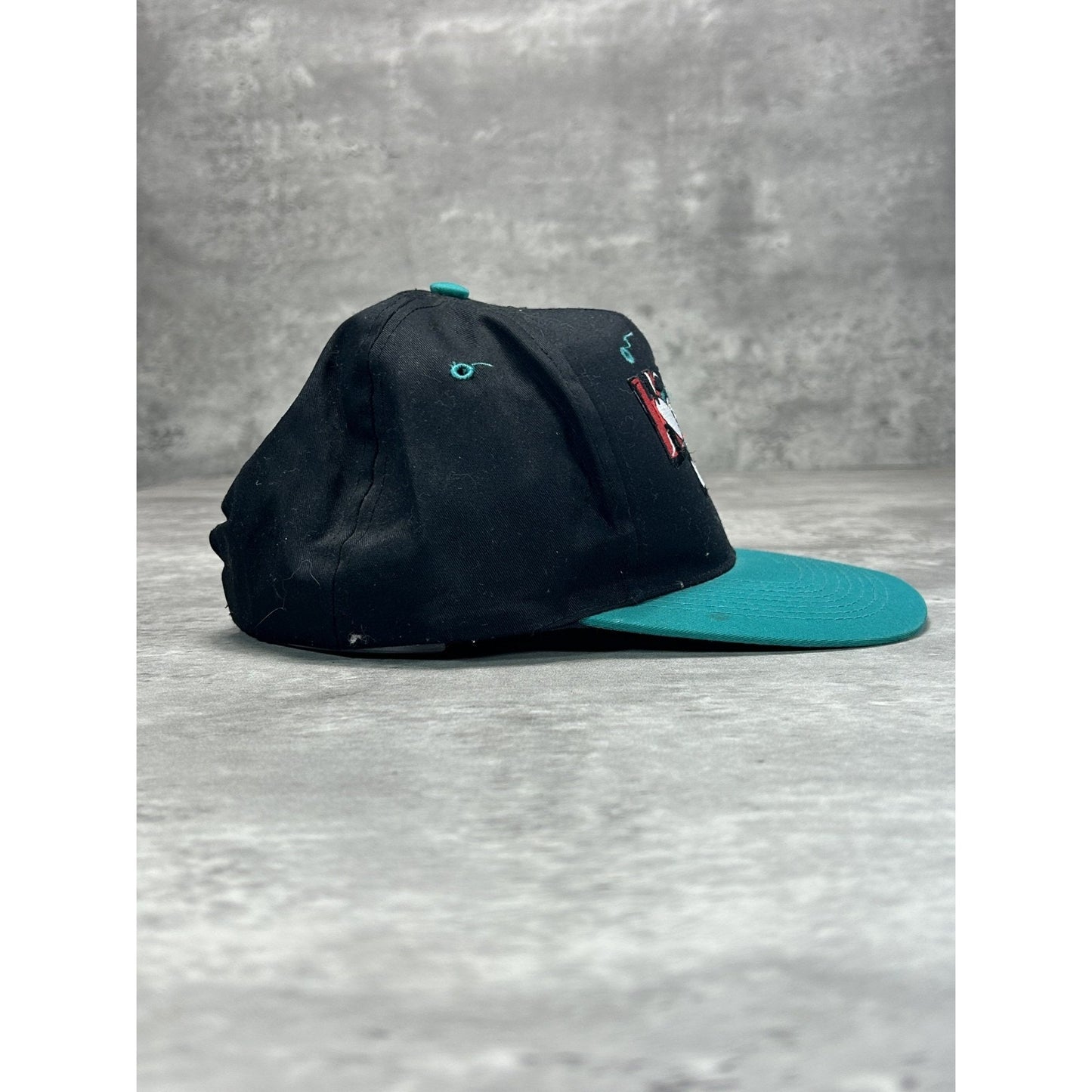 Vintage 90s The Hound WDDH 97.5 Embroidered Radio Promo Snapback Hat OSFA